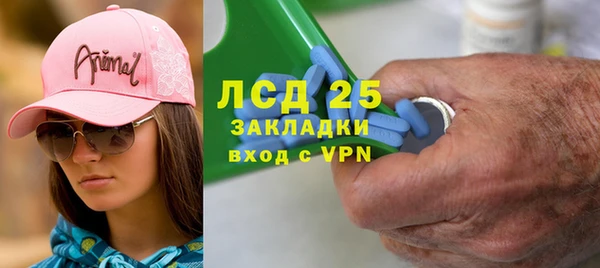 spice Алзамай