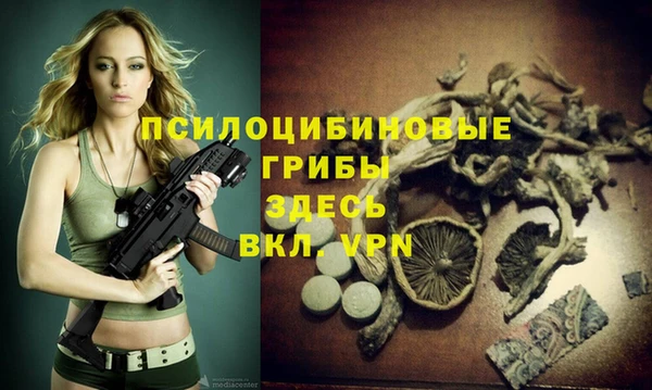 spice Алзамай