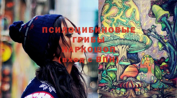 прущая мука Новодвинск