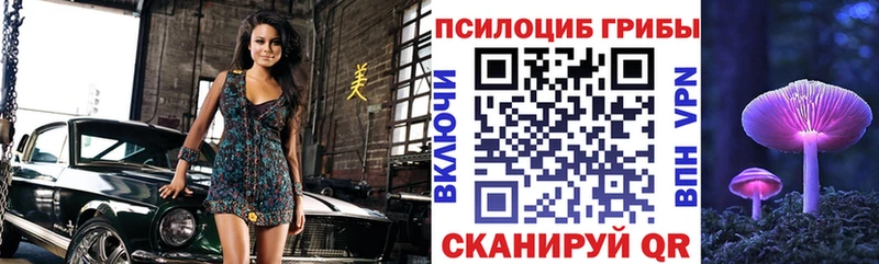 ОМГ ОМГ   наркошоп  Мышкин  Псилоцибиновые грибы Cubensis 